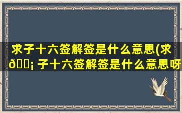 求子十六签解签是什么意思(求 🐡 子十六签解签是什么意思呀)
